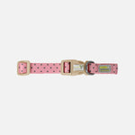 Petite Pistache - Small Pistachio Collar for Small Dogs GOOEEZ