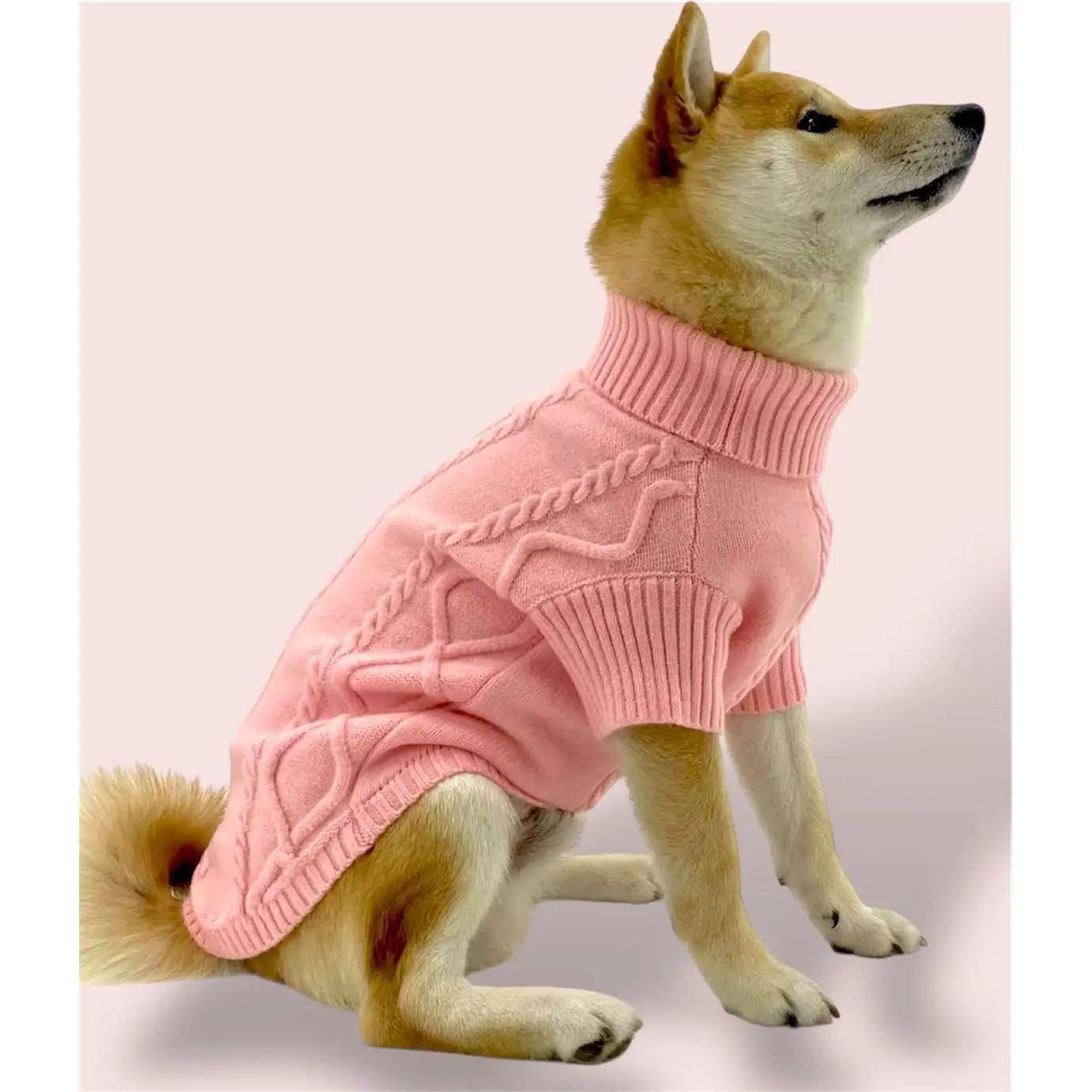 Pink Sweater Puccissimé Pet Couture