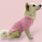 Pink cotton shirt Puccissimé Pet Couture