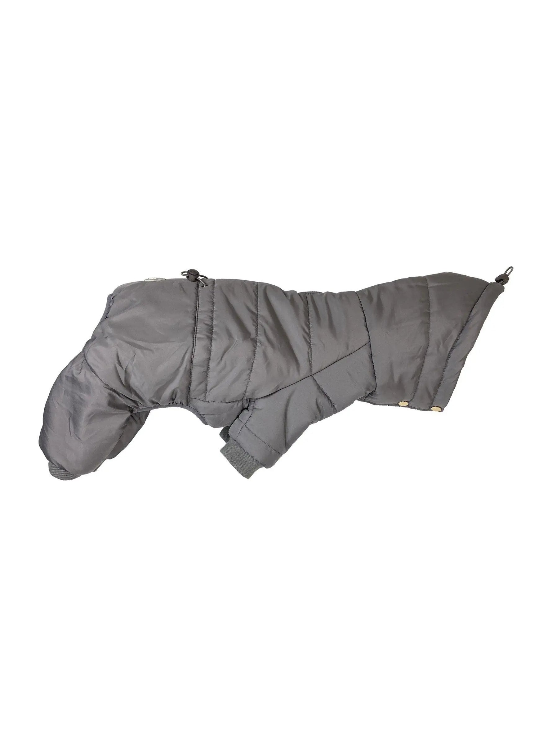 Pretty Paw - Expedition GRANITE GREY - Snowsuits for dogs - PAWMART.ca