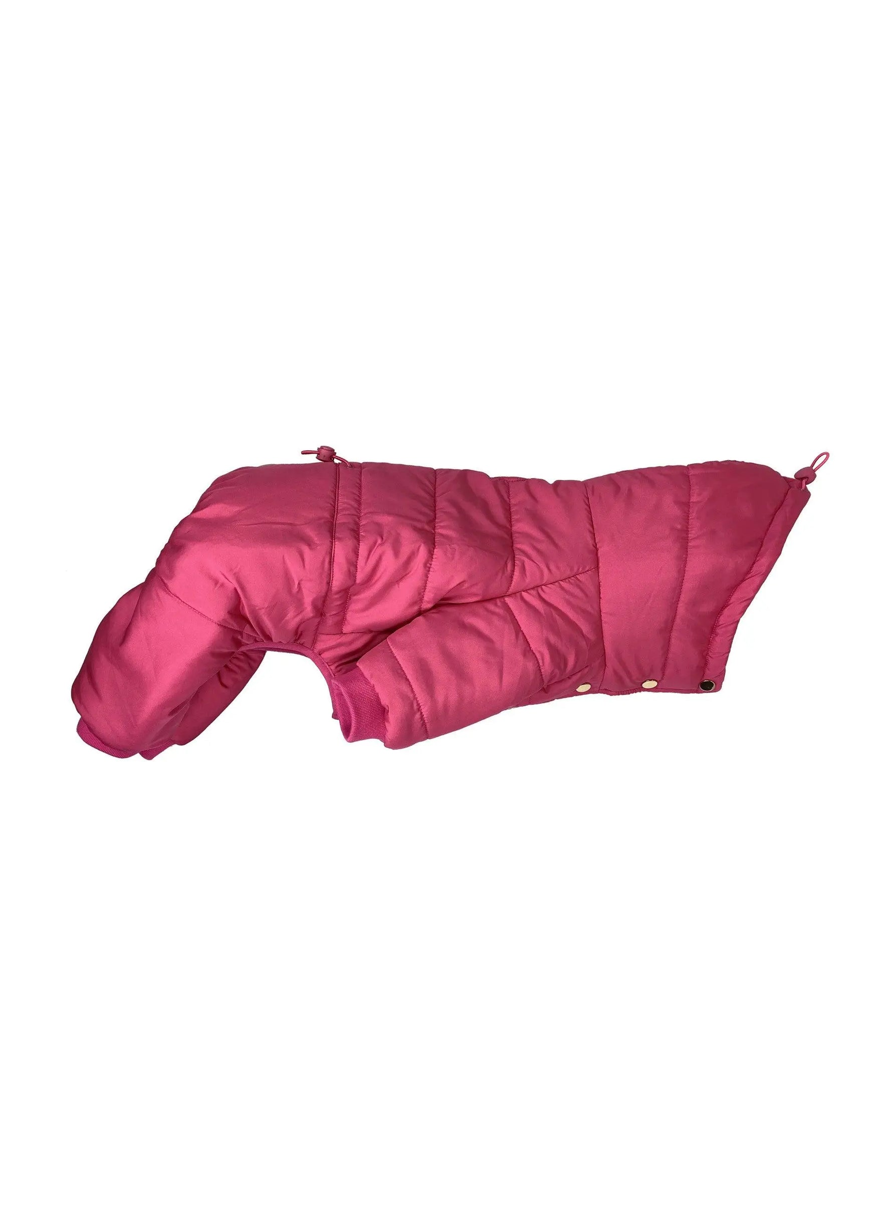 Pretty Paw - Expedition MAGENTA ROSE - Snowsuits for dogs - PAWMART.ca