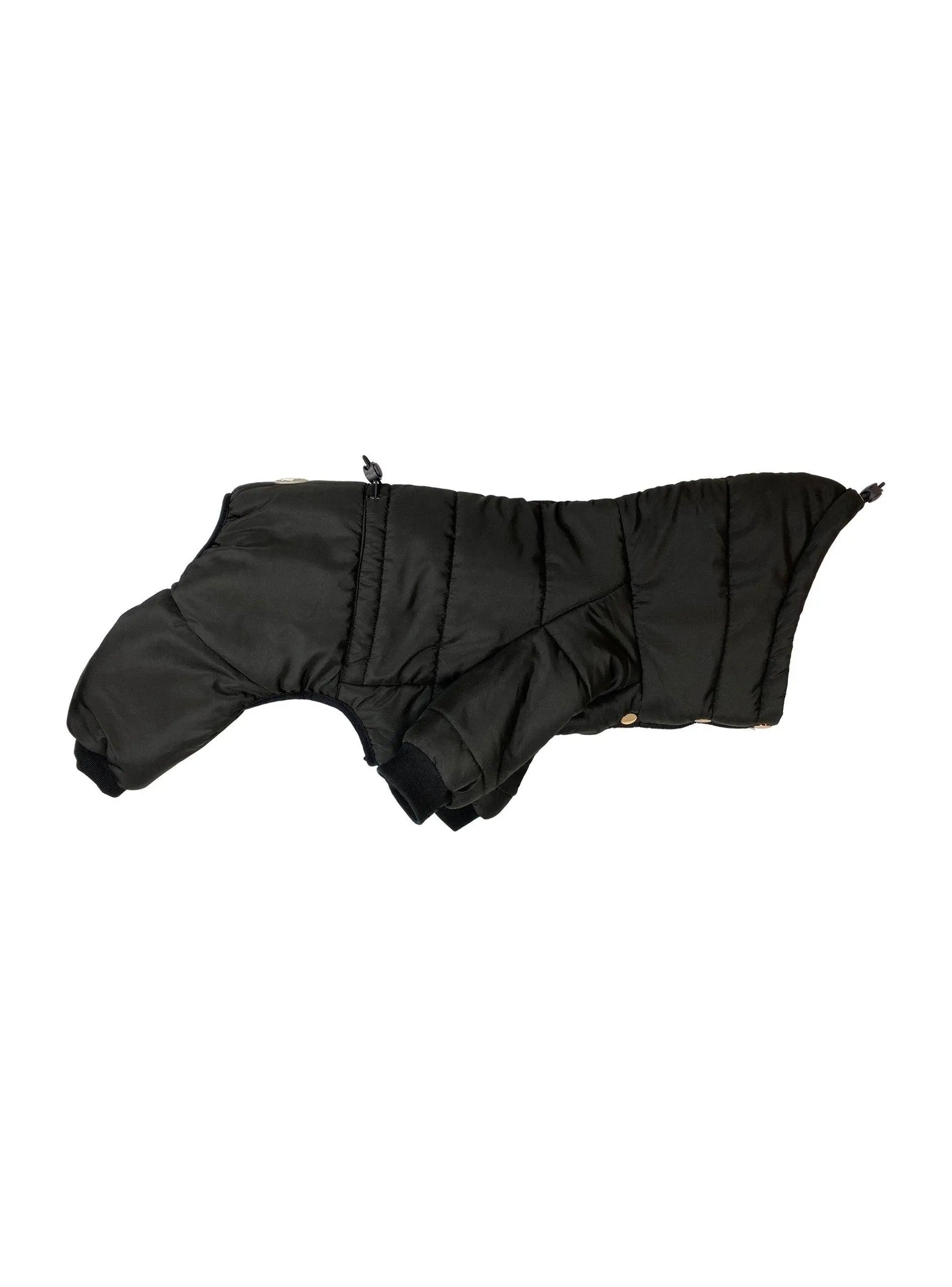 Pretty Paw - Expedition TUNGSTEN NOIR - Snowsuits for dogs - PAWMART.ca