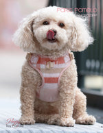 Pretty Paw - Paris POMELO - Dogs Harness PRETTY PAW