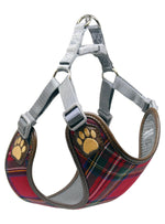 Pretty Paw - Scotland AUBURN - Dogs Harness - PAWMART.ca