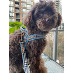 Prince Houndstooth Blue One-Click Dog Harness Puccissimé Pet Couture