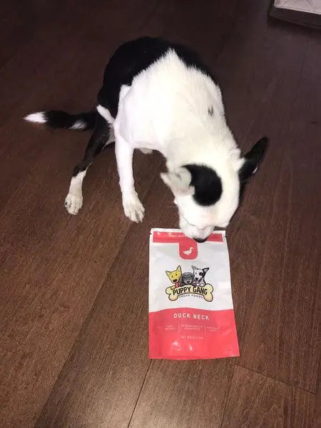 Puppy Gang - Duck Neck - Dog Treats - PAWMART.ca