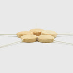 RANOVA - Lollipops Freeze Dried Treats for dogs PAWMART Pet Store - Grooming - Toronto
