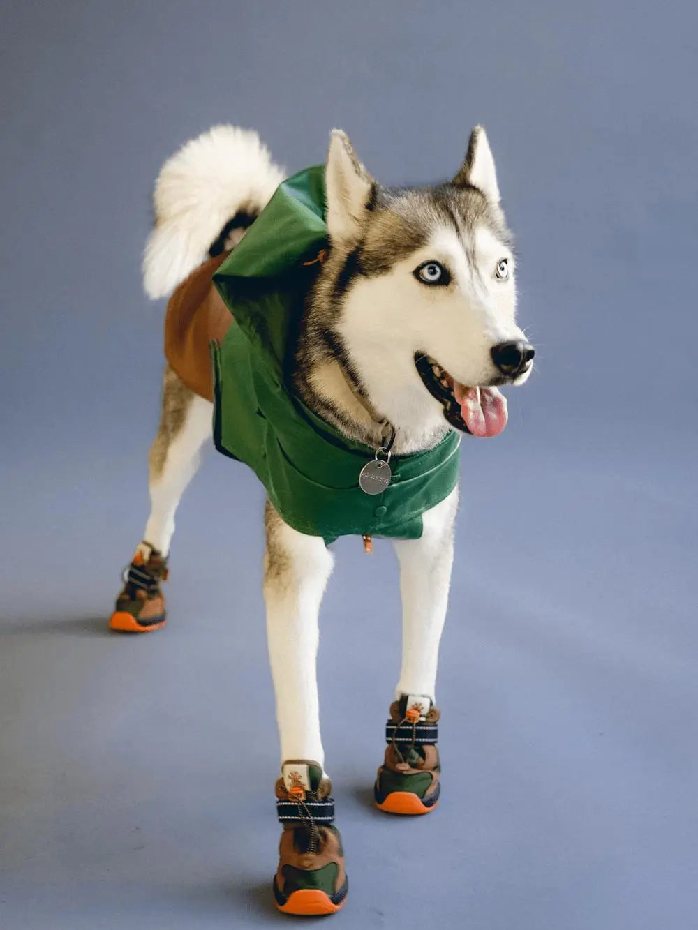 RIFRUF - Apolo 1- Winter Boots for dogs - PAWMART.ca