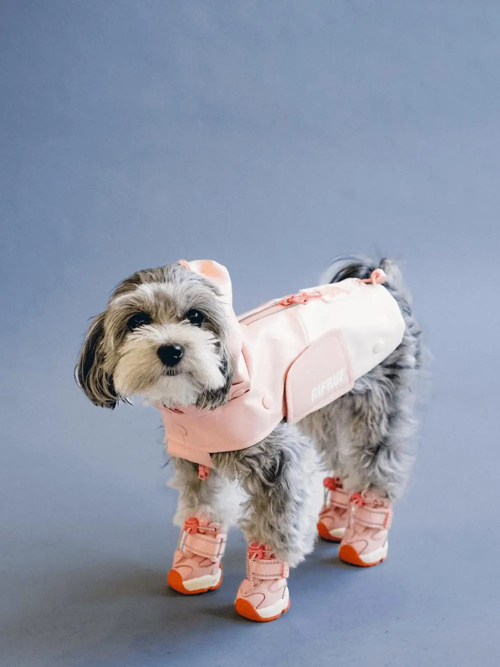 RIFRUF - Apolo 1- Winter Boots for dogs - PAWMART.ca