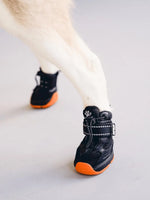 RIFRUF - Apolo 1- Winter Boots for dogs - PAWMART.ca