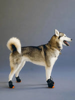 RIFRUF - Apolo 1- Winter Boots for dogs - PAWMART.ca