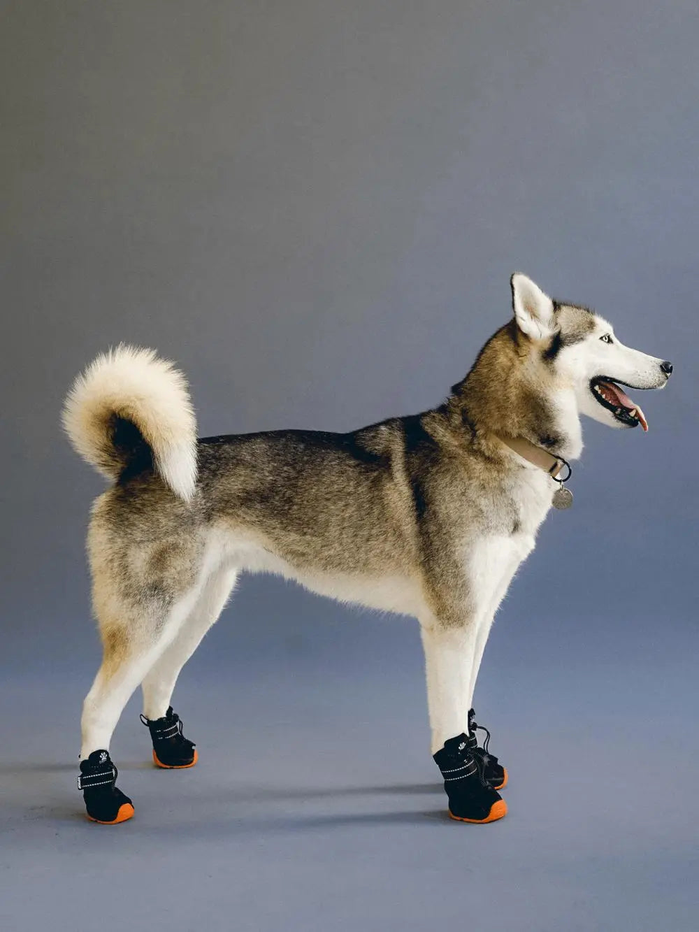 RIFRUF - Apolo 1- Winter Boots for dogs - PAWMART.ca