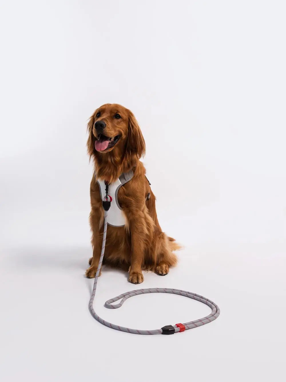 RIFRUF - Commuter Leash - Rope Leash For Dogs RIFRUF