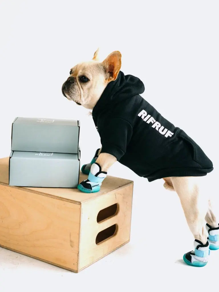 RIFRUF Essential Dog Hoodie - Black RIFRUF