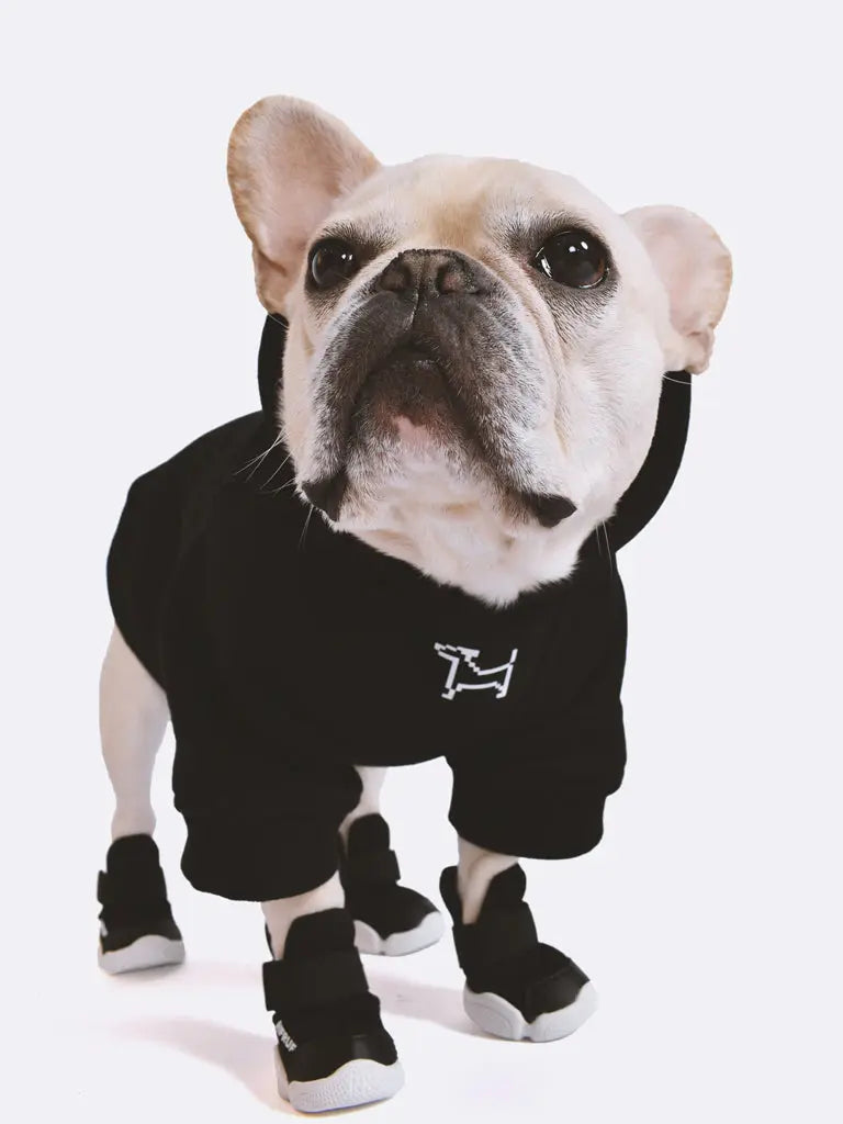 RIFRUF Essential Dog Hoodie - Black RIFRUF