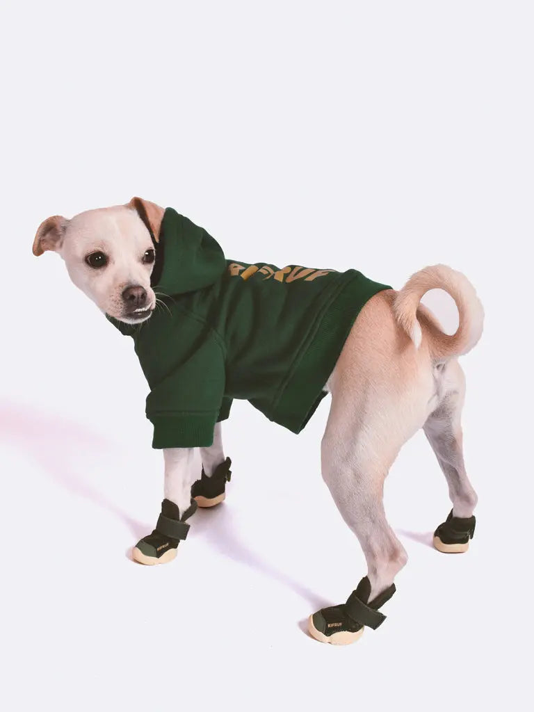 RIFRUF Essential Dog Hoodie - Jade RIFRUF