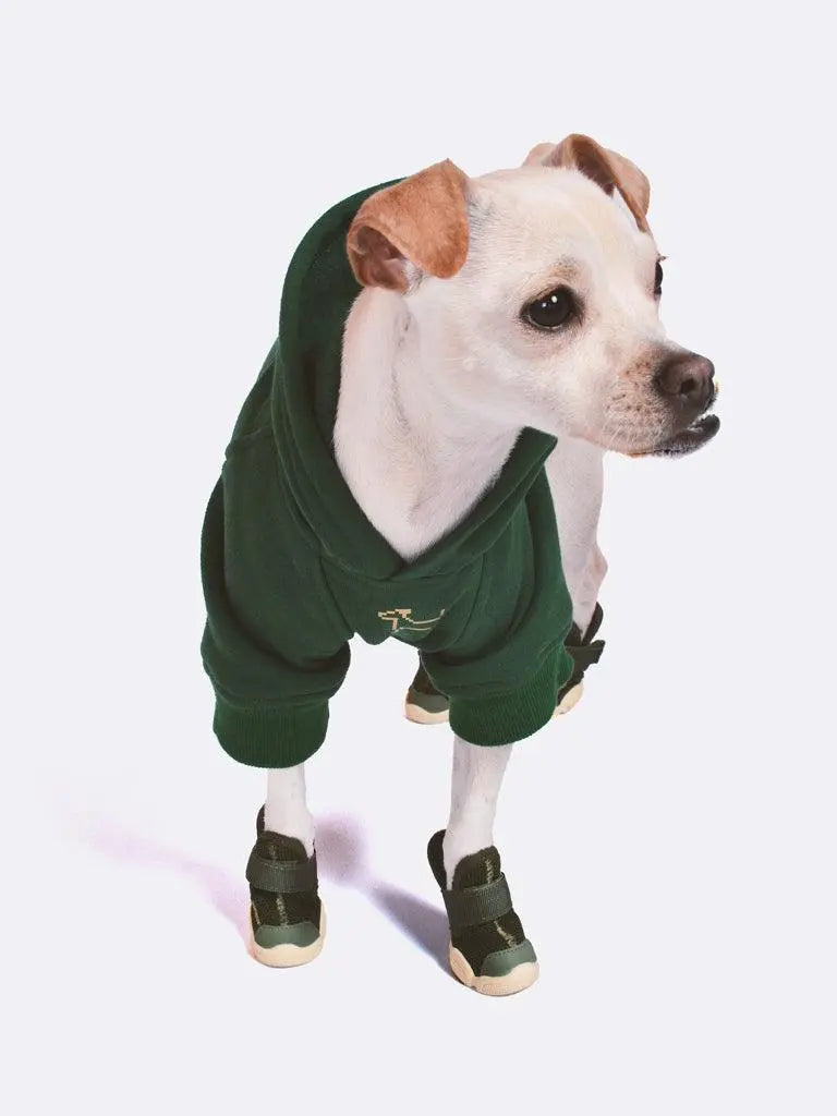 RIFRUF Essential Dog Hoodie - Jade - PAWMART.ca