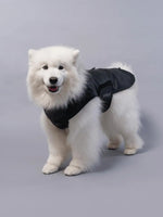 RIFRUF - Stormhunter Raincoat - Rain coat nd Winter Jacket for Dogs - PAWMART.ca