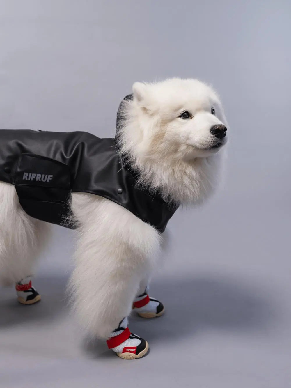 RIFRUF - Stormhunter Raincoat - Rain coat nd Winter Jacket for Dogs - PAWMART.ca