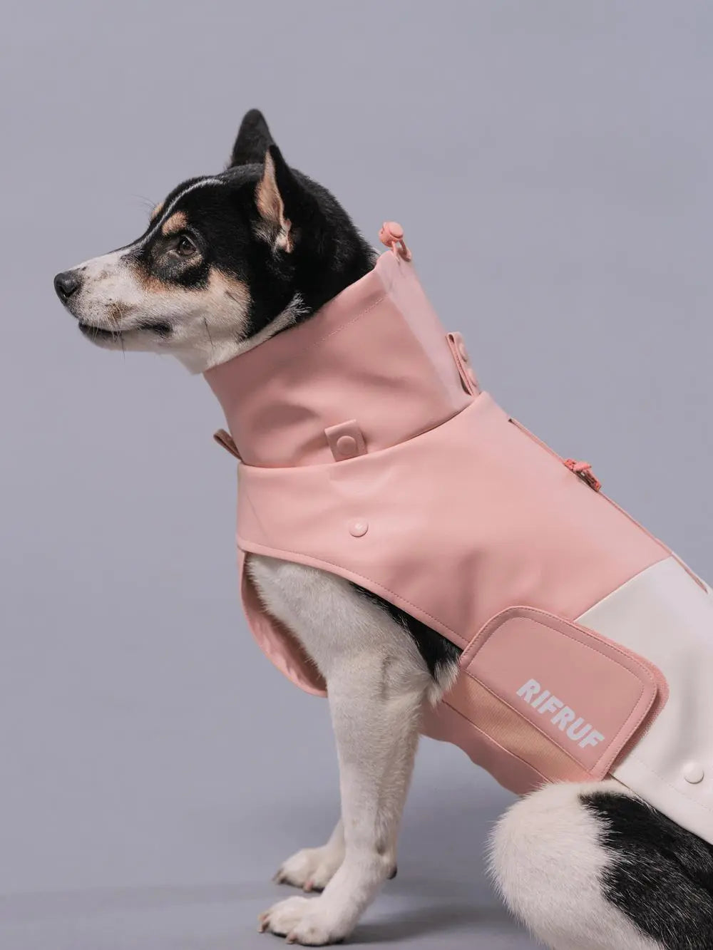 RIFRUF - Stormhunter Raincoat - Rain coat nd Winter Jacket for Dogs - PAWMART.ca