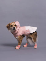 RIFRUF - Stormhunter Raincoat - Rain coat nd Winter Jacket for Dogs - PAWMART.ca