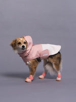 RIFRUF - Stormhunter Raincoat - Rain coat nd Winter Jacket for Dogs RIFRUF