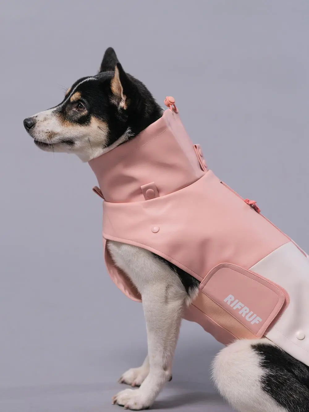 RIFRUF - Stormhunter Raincoat - Rain coat nd Winter Jacket for Dogs RIFRUF