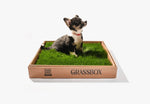 Real GrassBox Grassbox