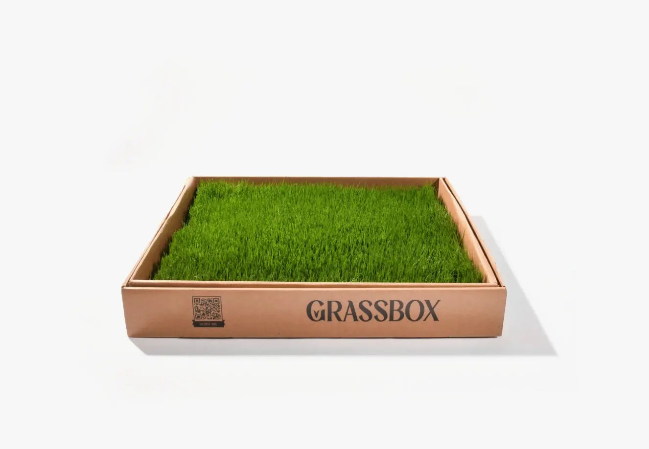Real GrassBox Grassbox
