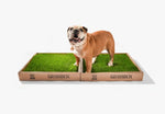 Real GrassBox Grassbox