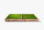 Real GrassBox Grassbox