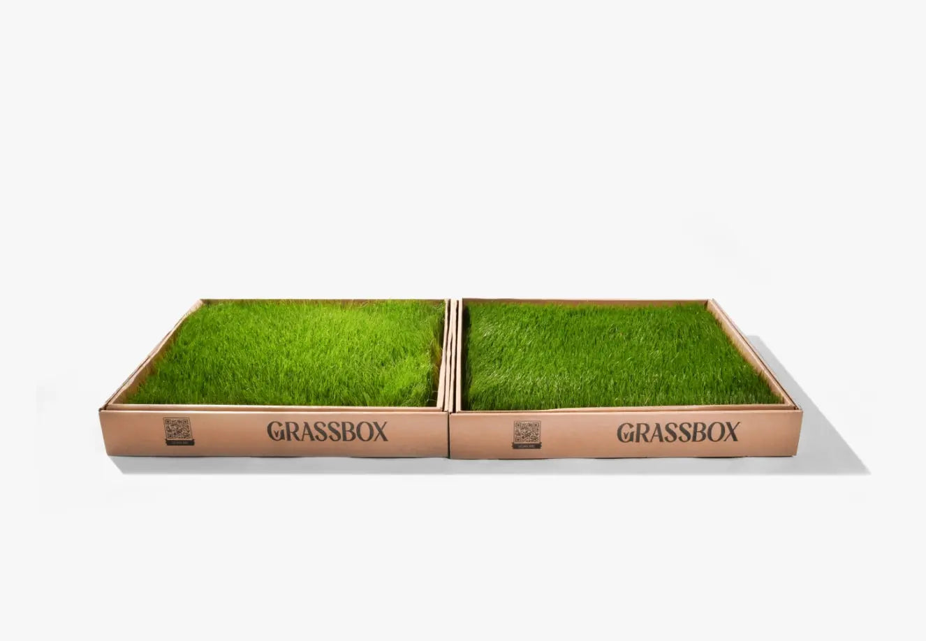 Real GrassBox Grassbox