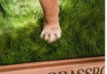 Real GrassBox Grassbox