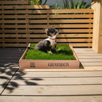 Real GrassBox Grassbox