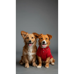 Red cotton shirt Puccissimé Pet Couture