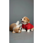 Red cotton shirt Puccissimé Pet Couture
