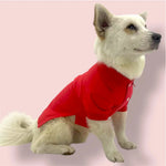 Red cotton shirt Puccissimé Pet Couture
