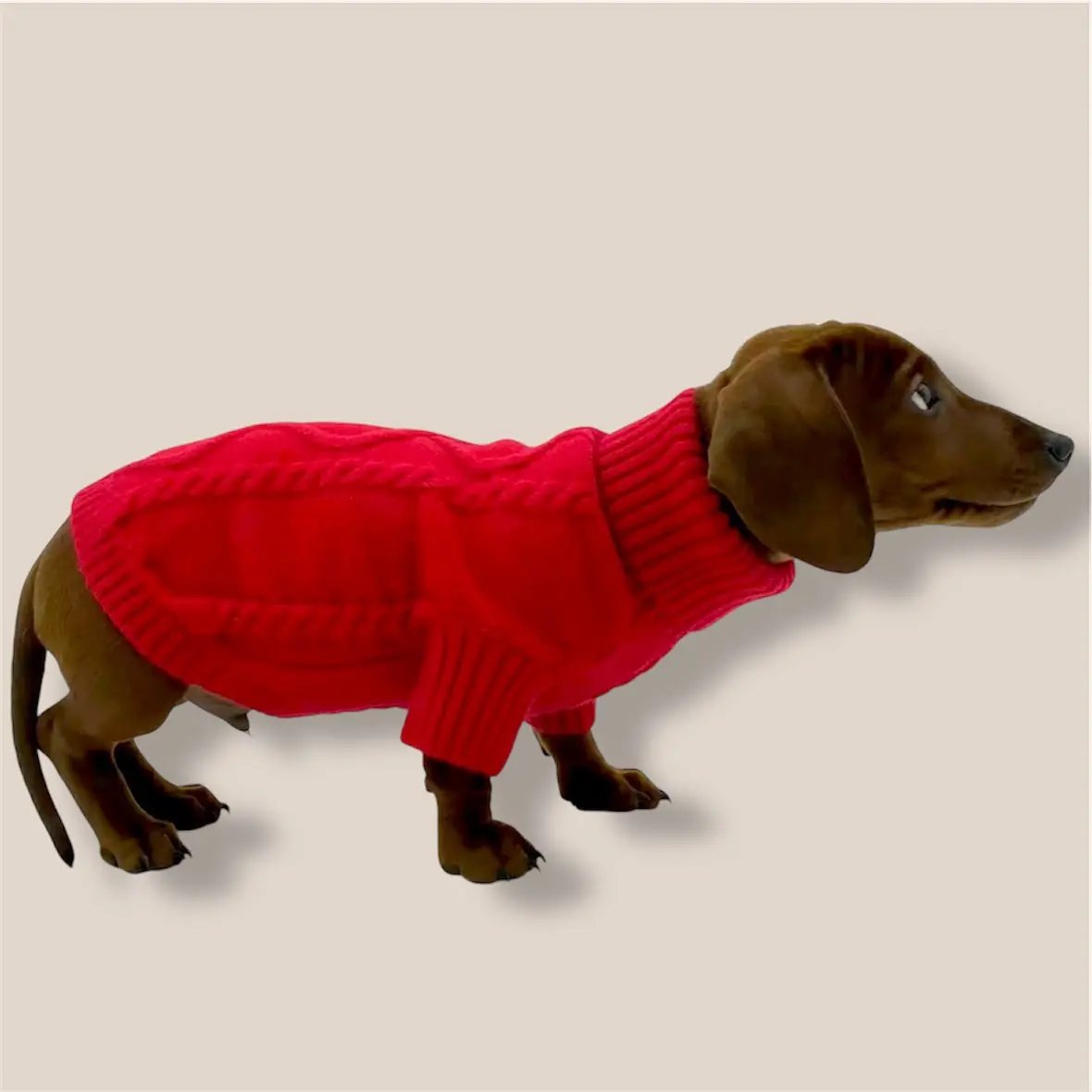 Red sweater Puccissimé Pet Couture