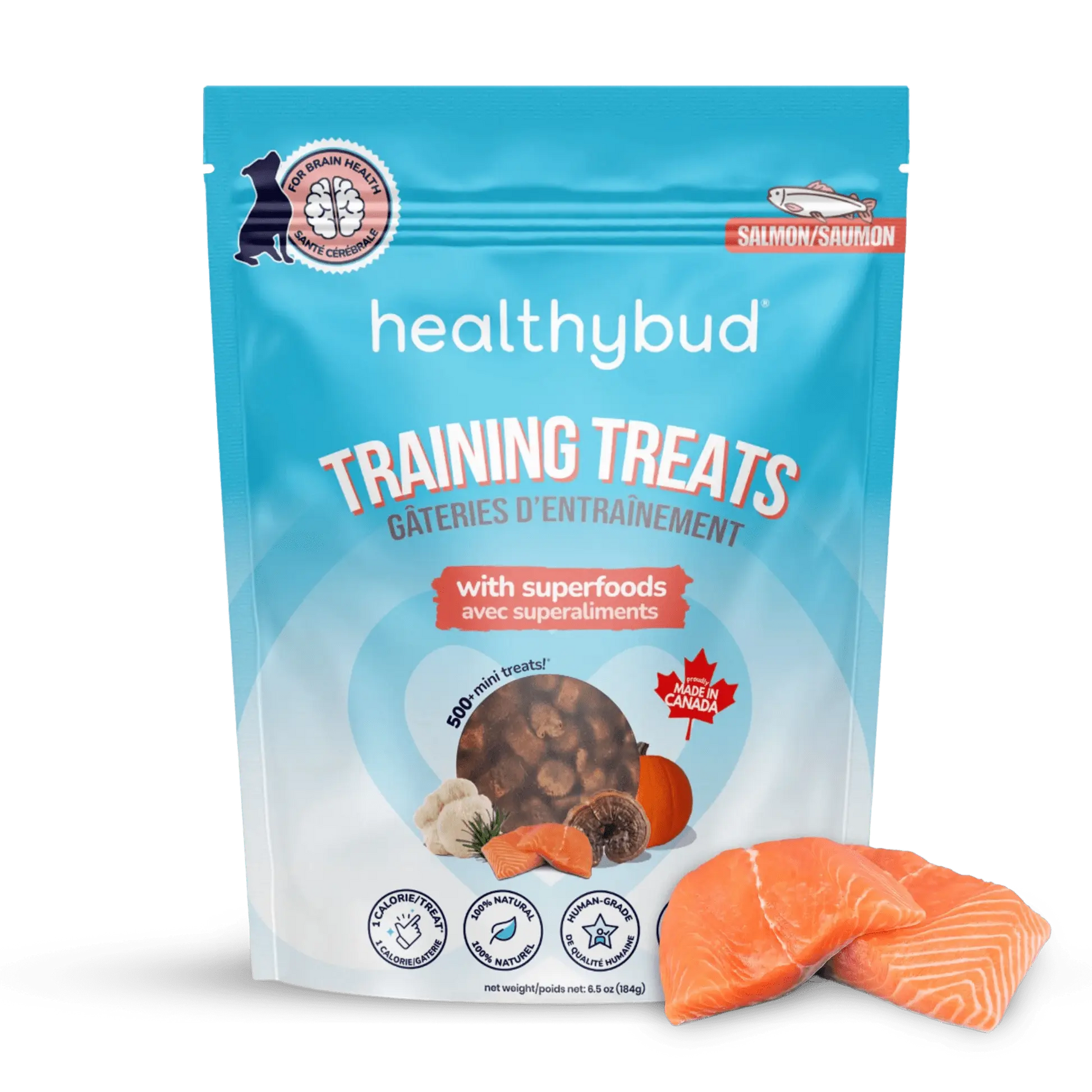 Salmon Mini Training Treats healthybud