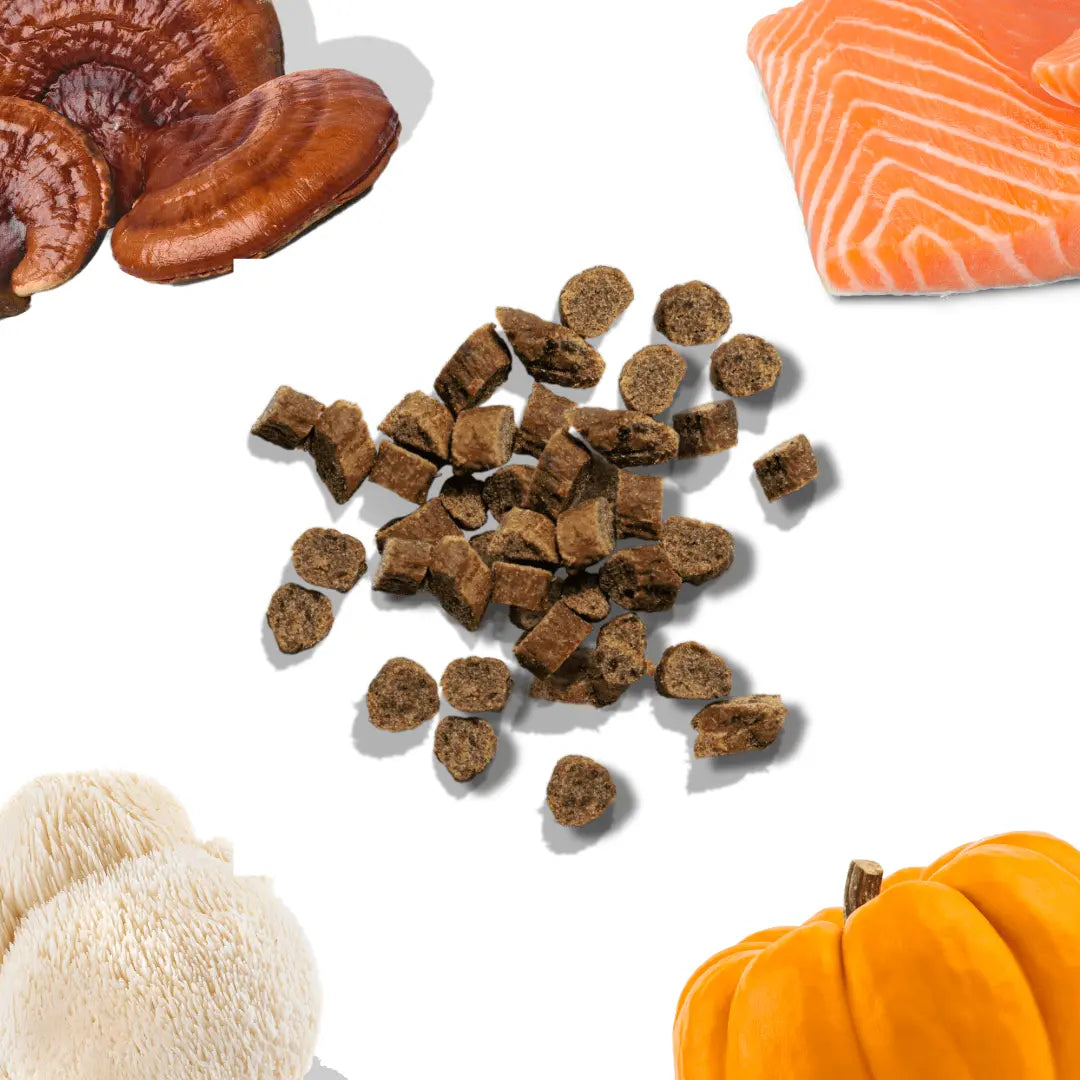 Salmon Mini Training Treats healthybud