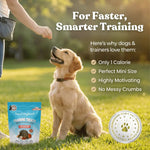 Salmon Mini Training Treats healthybud
