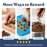 Salmon Mini Training Treats healthybud