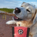 Salmon Skin Strips 85g Only One Treats