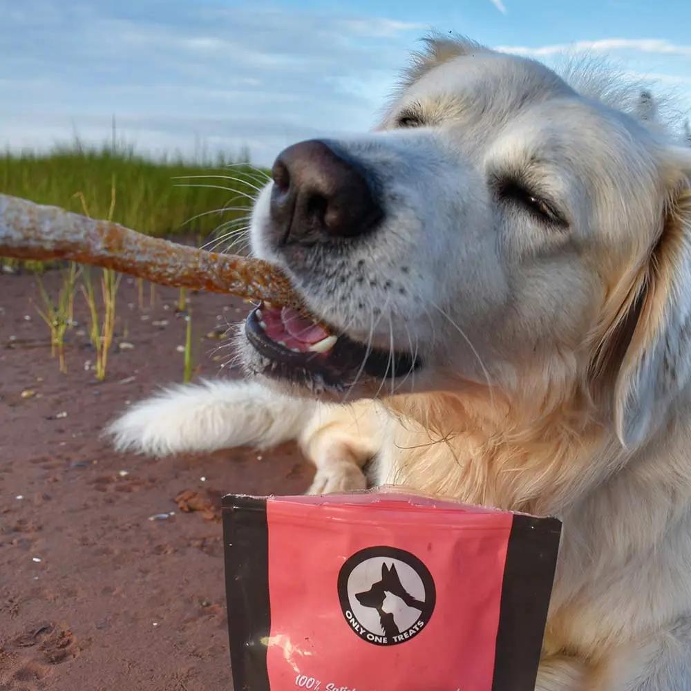 Salmon Skin Strips 85g Only One Treats