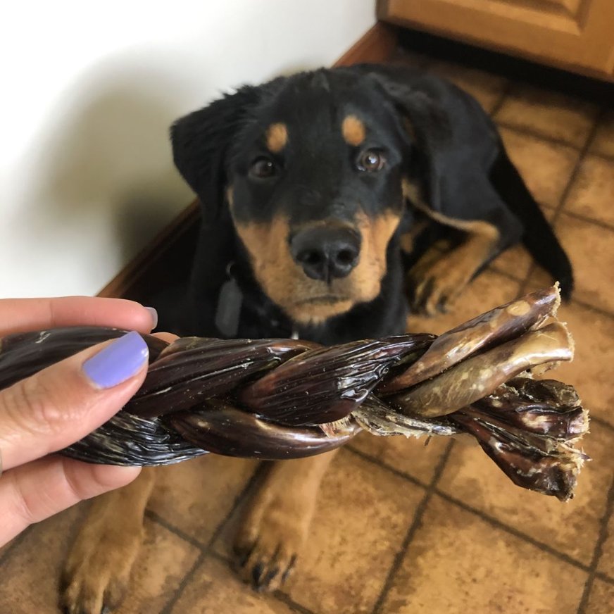 6 Inch Braided Jerky Stick Dog Treats, product photo 2 of 6