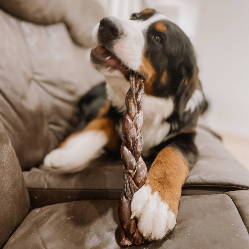 12 Inch Braided Jerky Stick Dog Treats, product photo 2 of 6
