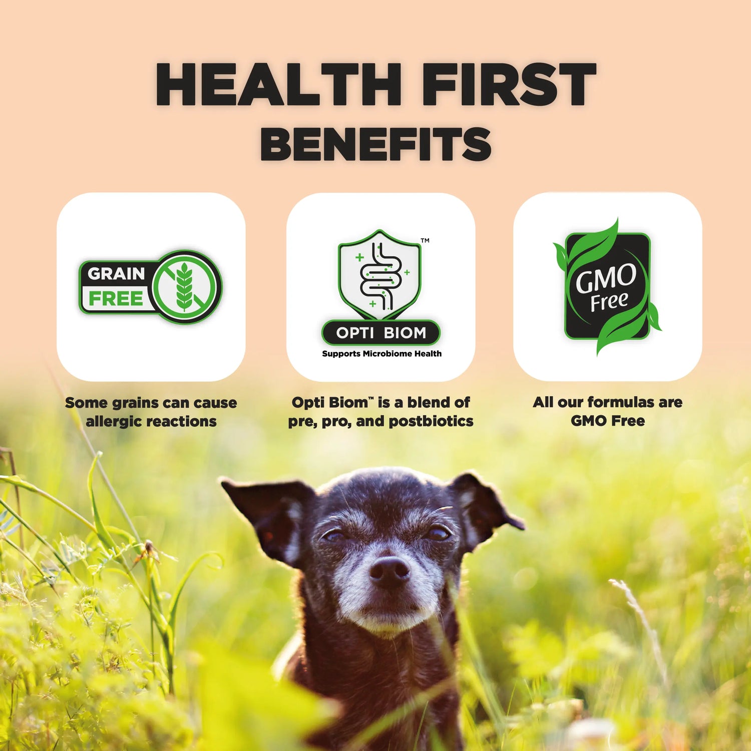 Senior, Dog Food for Toy & Small Breeds (10+ Years) With SRT™ Nature’s HUG™ Pet Food Inc.