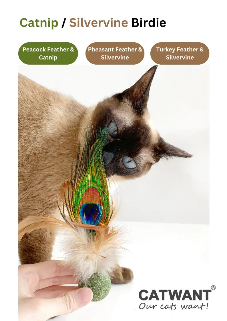 Silvervine / Catnip Birdie CATWANT