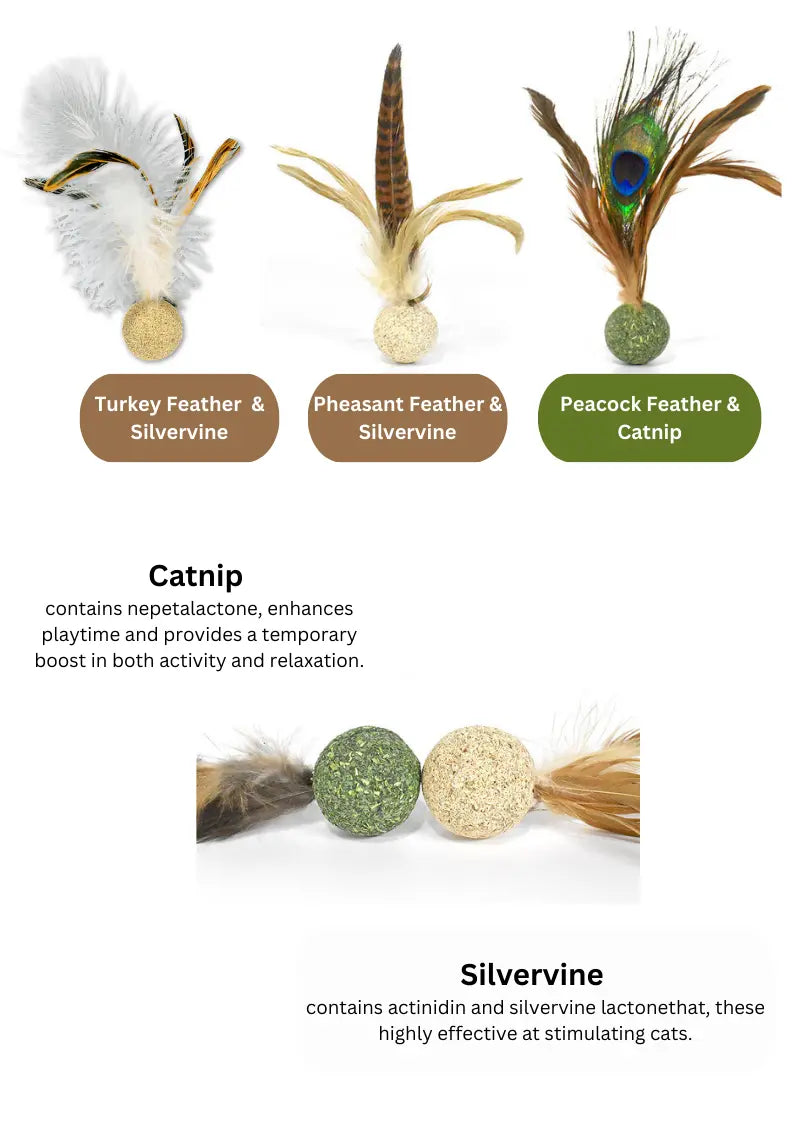 Silvervine / Catnip Birdie CATWANT
