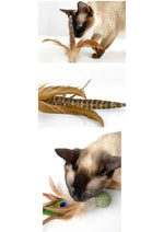 Silvervine / Catnip Birdie CATWANT